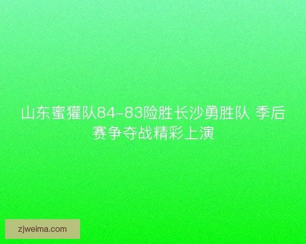 山东蜜獾队84-83险胜长沙勇胜队 季后赛争夺战精彩上演